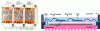 Figure 7 - Top view of the open module and schematic cross-section of a power module