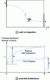 Figure 9 - Integration path and potential distributions at thermodynamic equilibrium and non-equilibrium, between contacts