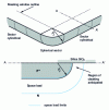 Figure 13 - Schematic representation of the periphery of a planar junction