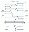 Figure 4 - Avalanche carrier multiplication in the transition zone of a PN junction