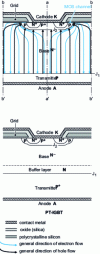 Figure 17 - Examples of IGBT structures