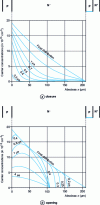 Figure 25 - Changes in the distribution of carriers in the N base (holes) corresponding to the transients shown in the figure. 