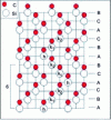 Figure 3 - Representation of polytype 6H in the  plane by stacking Si "pairs"–C