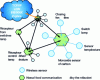 Figure 3 - Structure of an abandoned sensor network