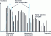 Figure 4 - Signal measured in narrow or wide band