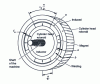 Figure 9 - Structure of a slotless permanent magnet rotating machine