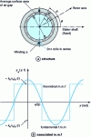 Figure 8 - Stator winding with diametral pitch (p = 1)