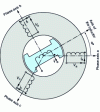 Figure 10 - Cross-section of a salient-pole synchronous machine