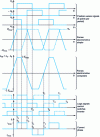 Figure 42 - Theoretical three-phase waveforms