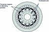 Figure 2 - MSDE series with rotor excitation sources