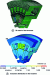 Figure 24 - 3D finite element modeling of a dual parallel excitation machine [8].