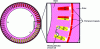 Figure 11 - Inverted structure (outer rotor) of a wheel motor with 51 stator teeth, 46 magnets on the rotor surface and concentric, three-phase stator winding.