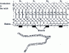 Figure 18 - Corrugated or series winding