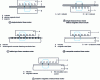 Figure 20 - Linear motor variants