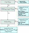 Figure 13 - Protection setting decision tree NF C13-100