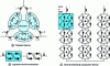 Figure 42 - Power electronics and compensator development