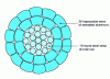 Figure 2 - 548 mm2 ACSS conductor