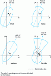 Figure 16 - Complex features used to protect mesh networks