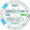 Figure 31 - Interactions between different phenomena: constraints, effects and consequences