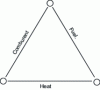 Figure 32 - Fire Triangle