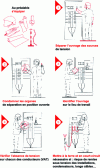 Figure 5 - Basic consignment rules (doc. COMST)