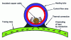 Figure 10 - Heat transfer in the heated tracer tube