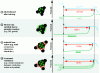 Figure 6 - Illustration of the effect of various ageing phenomena on battery capacity