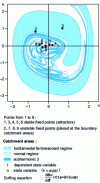 Figure 2 - Different basins of attraction in the Duffing equation