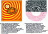 Figure 15 - Modeling seismic wave propagation in soil structured with pillars of stiffer materials, inspired by real-life examples