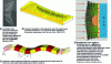 Figure 28 - Plasmonic invisibility mat concept at different scales and for different wave types