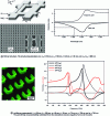 Figure 28 - Examples of metamaterials in optics