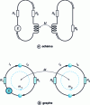 Figure 10 - Electrical diagram and corresponding graph