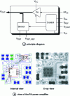 Figure 7 - Schematic diagram of the 3 G mobile amplifier (top), internal view of the PA (left) from design data and X-ray view (right)