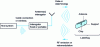 Figure 1 - The main elements of an RFID system