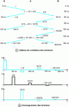 Figure 24 - Variation table and chronogram of one-branch system voltages