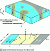 Figure 5 - Magnetic domains and walls