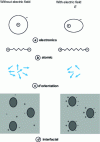 Figure 3 - Schematic representation of the four types of polarization