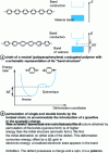 Figure 14 - Charged defects in conductive polymers: associated local deformation of the polymer chain