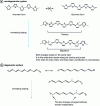 Figure 15 - Description of charged defects in non-degenerate and degenerate systems – Structure evolution during doping