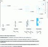 Figure 9 - Diagram of molecular orbital evolution with increasing size of conjugated polyenes (after [14])