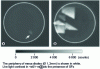 Figure 7 - Photoluminescence mapping images obtained at 422 nm (100 K) on 4H-SiC pin diodes (000-1) subjected to a forward bias Vf (a) less than 0.01V and (b) of the order of 0.08 V for 1 h at a current stress of 100 A/cm2 (from [31]).