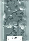 Figure 46 - Acoustomigration phenomenon on a SAW filter electrode