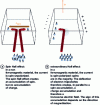 Figure 8 - Comparison of the spin Hall effect and the extraordinary Hall effect