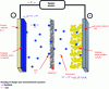 Figure 13 - Schematic representation of a lithium-metal battery (after [4])