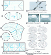 Figure 6 - Some examples of construction by Van den Berg and Bryant and Sushi