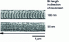 Figure 10 - Bit pattern on amorphous TbFeCo magneto-optical media, recorded in MFM pulsed field mode 