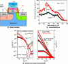 Figure 20 - Hybrid component combining a TFET and a ferroelectric gate to improve
the electrical properties of the transistor