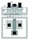 Figure 5 - NMOS transistor in CMOS technology