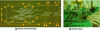 Figure 1 - Circuit and photonic chip mounted on electronic board (CEA-Leti)