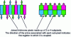Figure 29 - Color pixel architectures